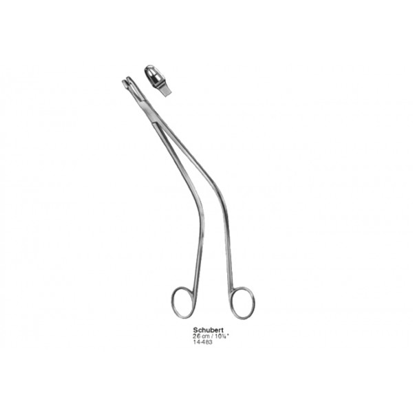 Gynecology, Obstetrics